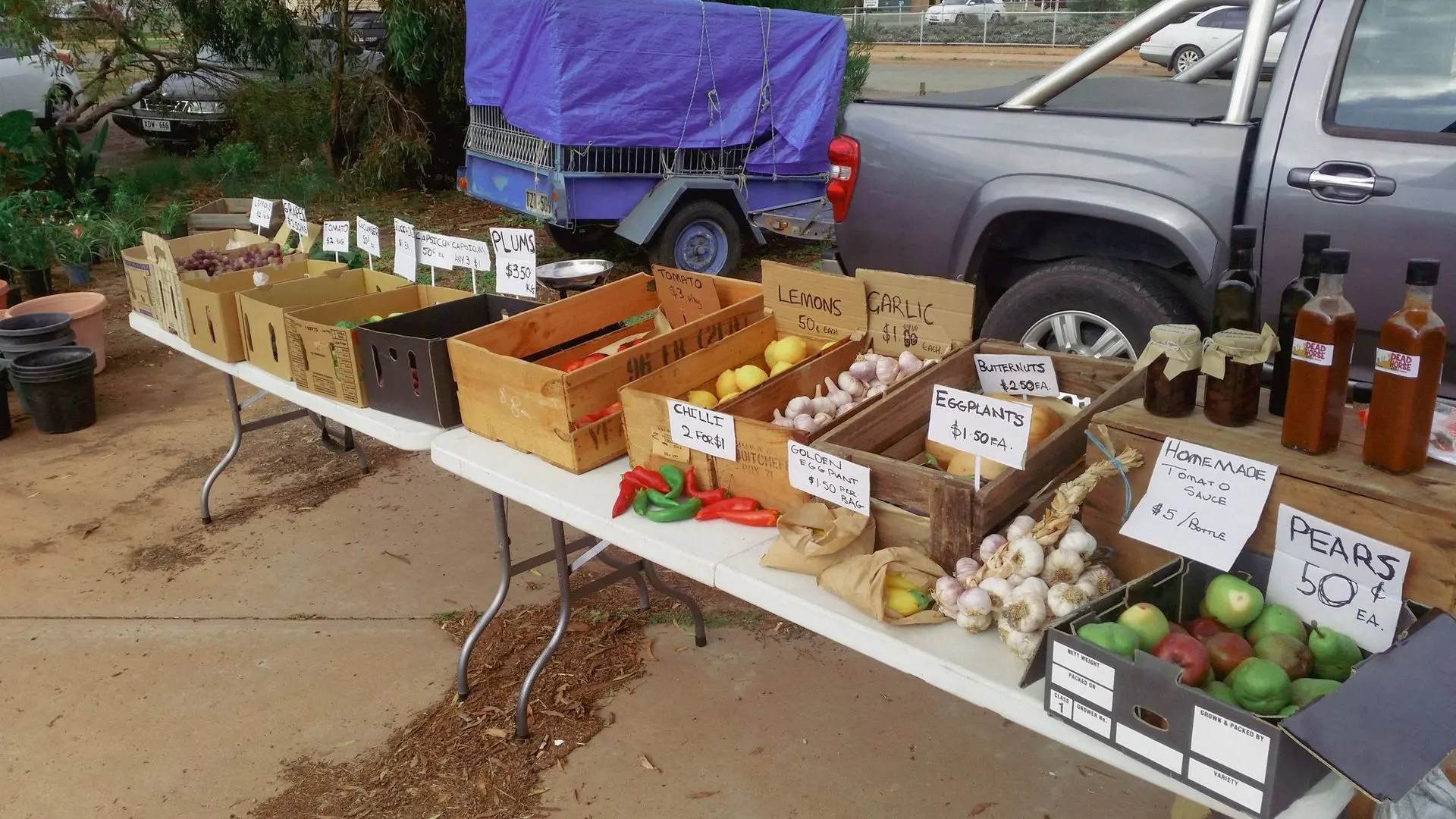 Original OKipos market