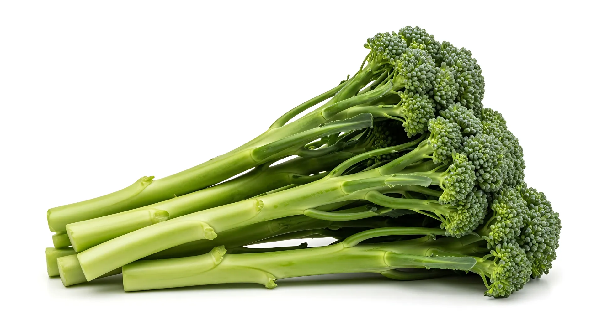 [E-COM14] Broccolini -Bunch