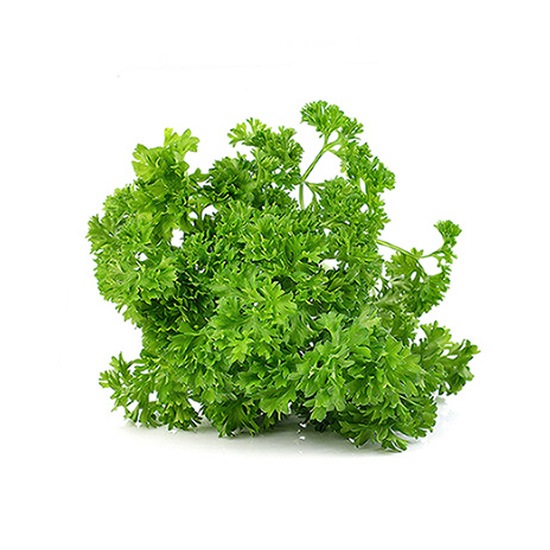 Herb Bunch Parsley