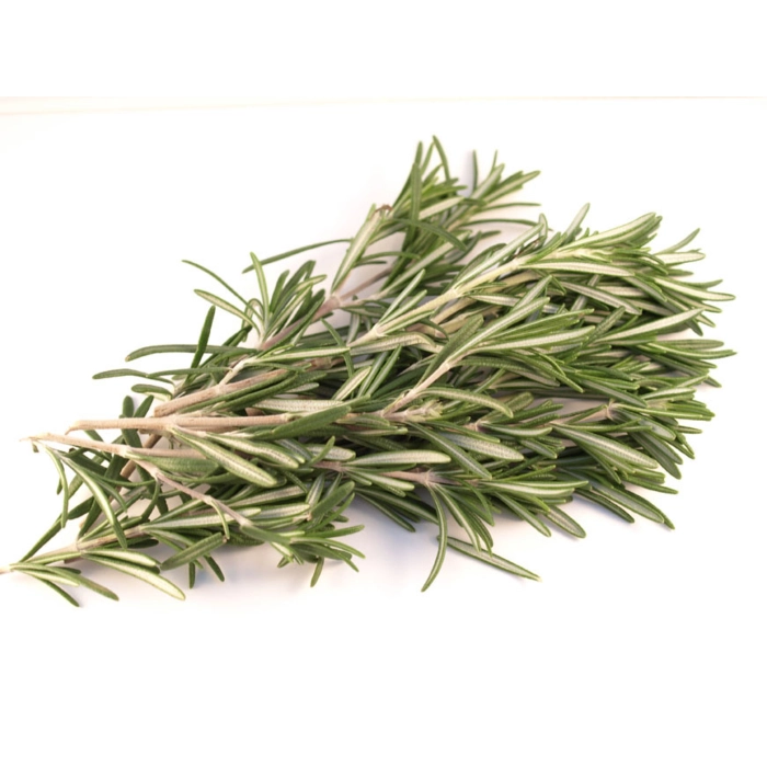 [E-COM33] Herb Bunch Rosemary