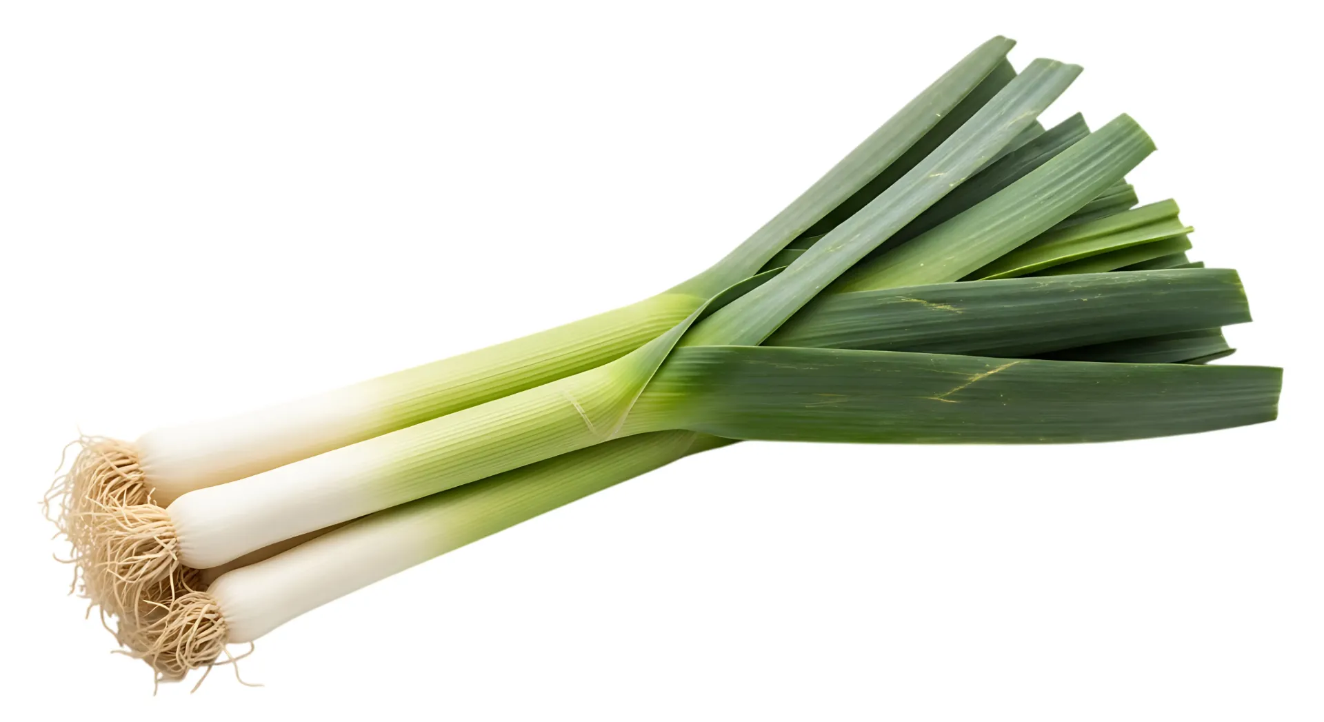 [E-COM37] Leek -Bunch