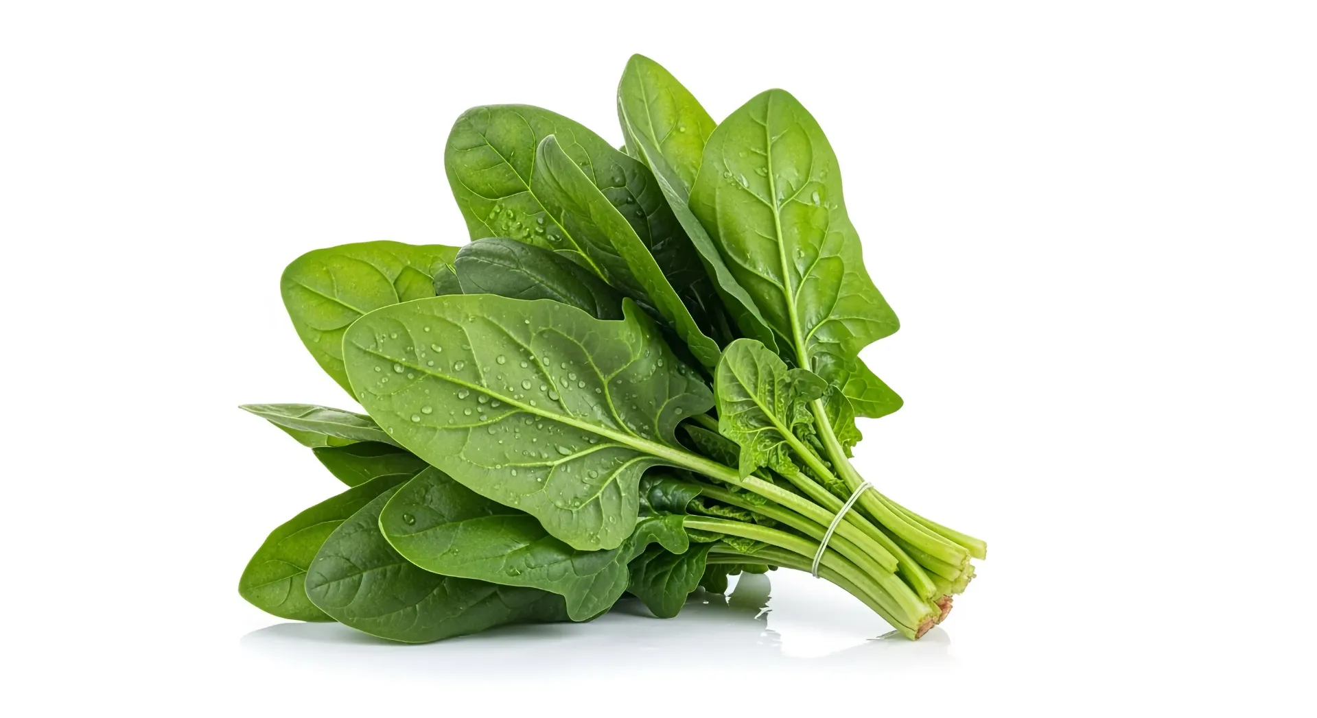 [E-COM62] Spinach -Bunch