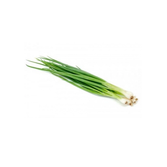 [E-COM63] Spring Onion -Bunch