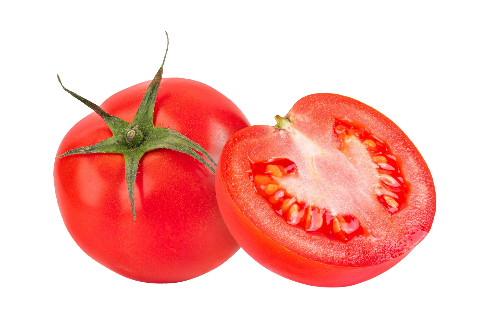 [E-COM66] Tomato Gourmet -Each