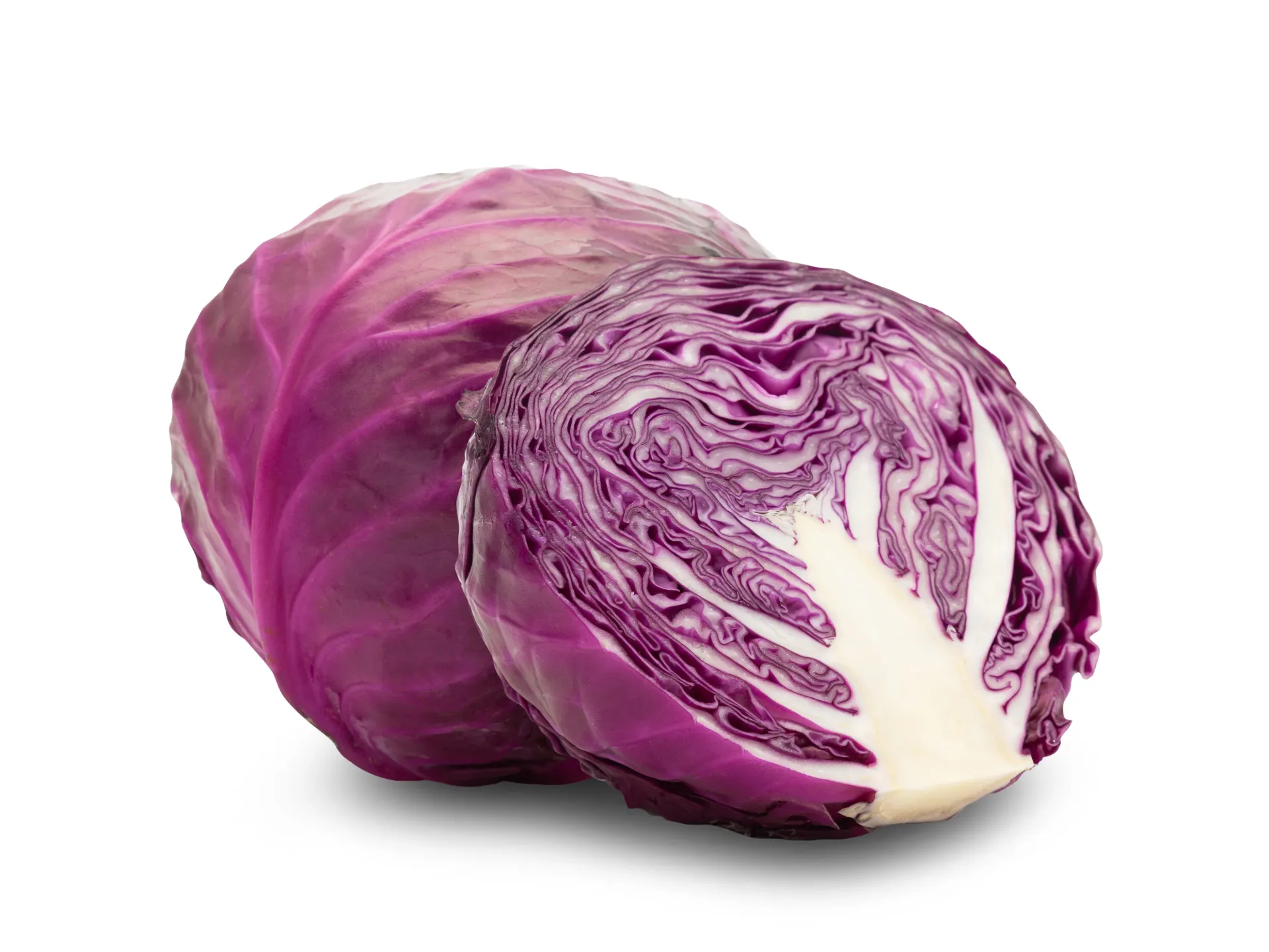 Cabbage Red -Each (Half)