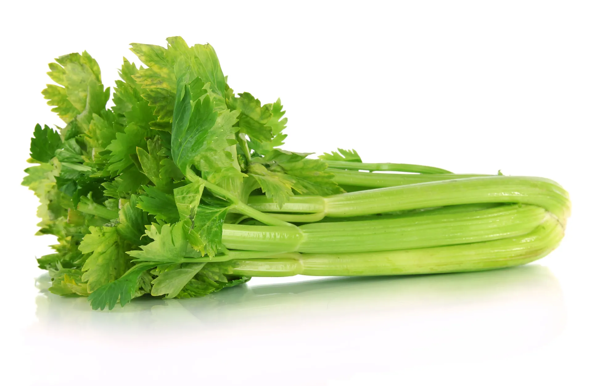 Celery  -Each (Half)