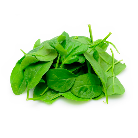 Lettuce Spinach Baby 