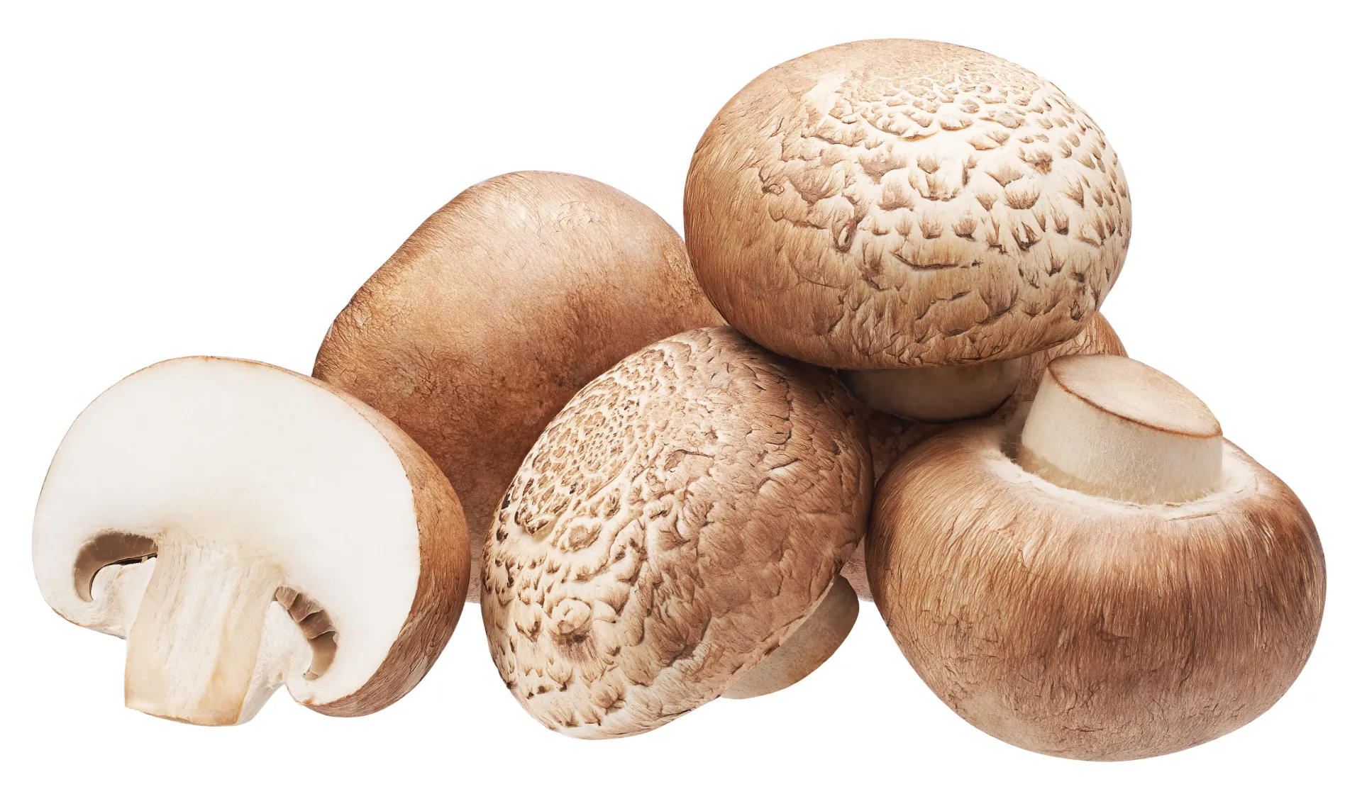 Mushroom Swiss ( 0.1 KG)