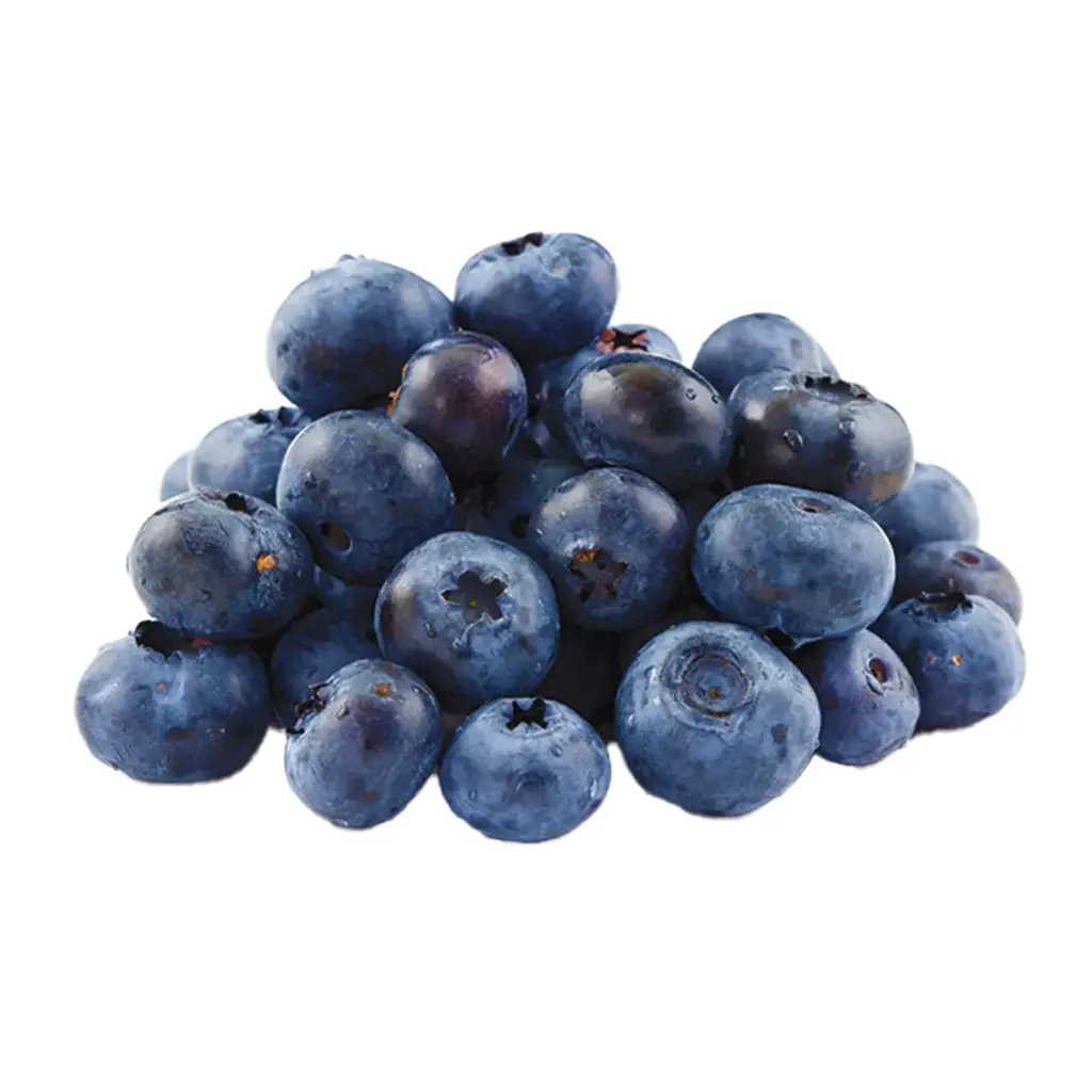 [E-COM102] Blueberries -Punnet