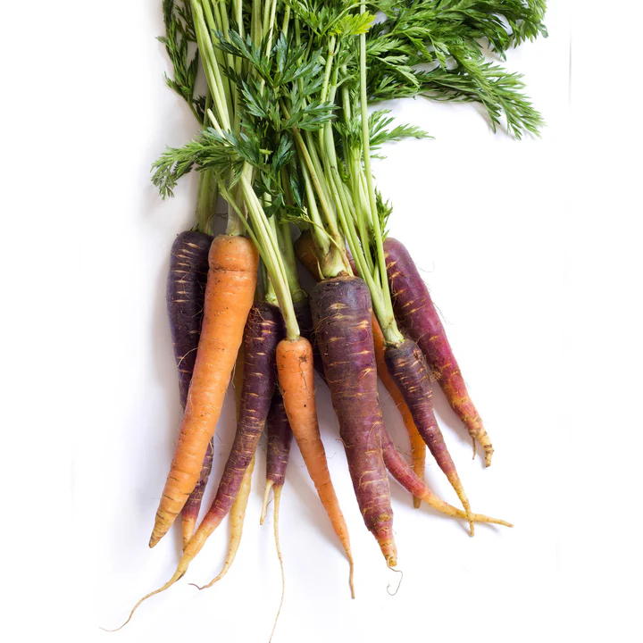 [E-COM20] Carrot Rainbow -Bunch