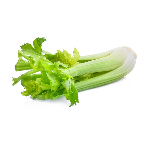 [E-COM75] Celery  -Each