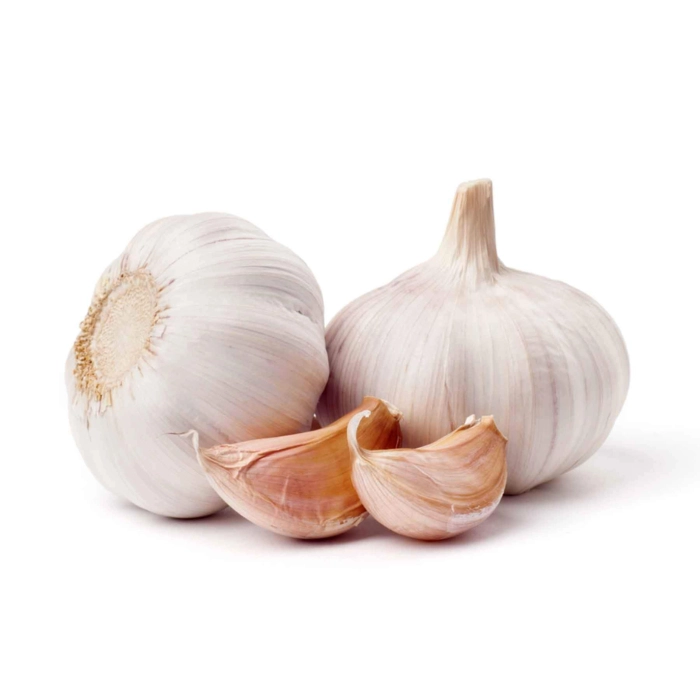 [E-COM82] Garlic  