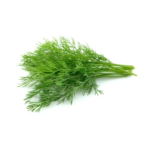 [E-COM30] Herb Bunch Dill
