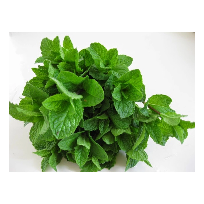 [E-COM31] Herb Bunch Mint