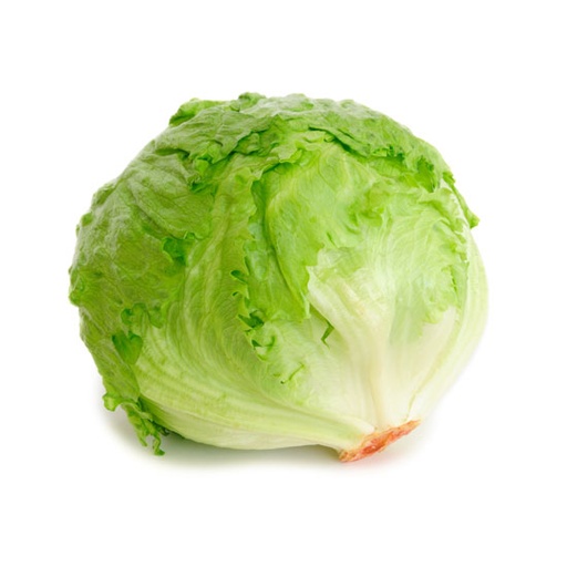 [E-COM38] Lettuce Iceberg -Each