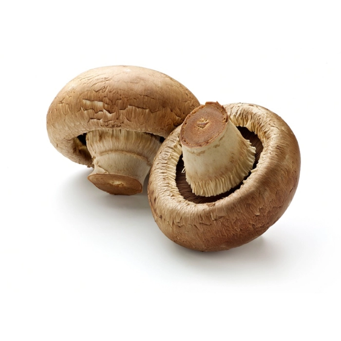 [E-COM80] Mushroom Swiss  