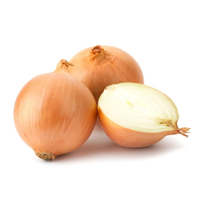 [E-COM48] Onion Brown -Each