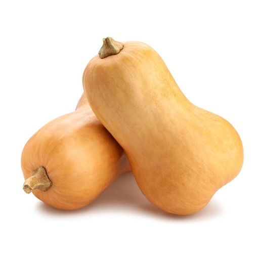 [E-COM88] Pumpkin Butternut -Kg