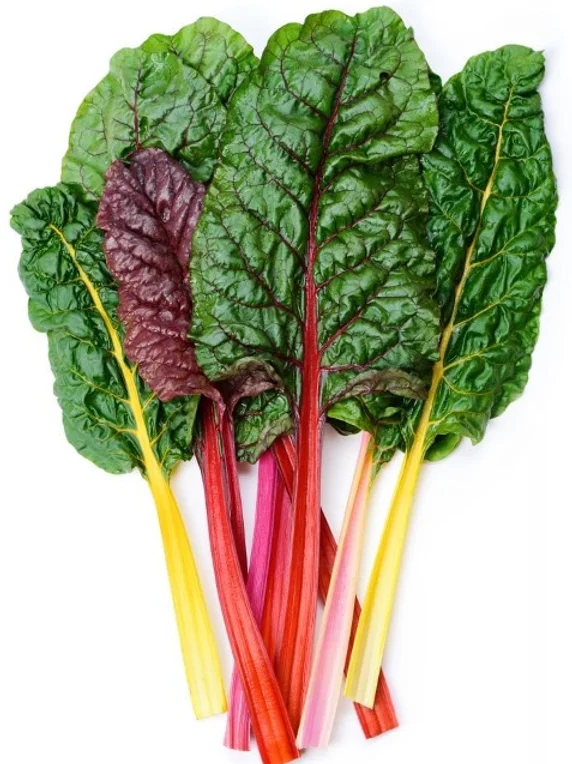 [E-COM61] Silverbeet Rainbow -Bunch