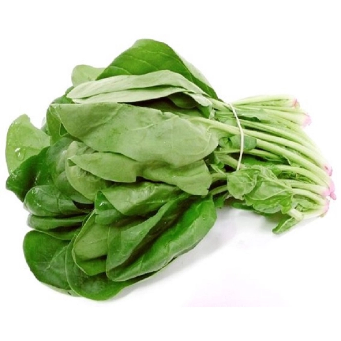 [E-COM62] Spinach -Bunch 