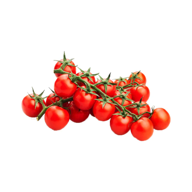 [E-COM86] Tomato Cocktail Cherry Truss 