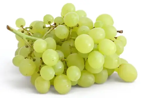 [E-COM100] Grapes White Seedless -Bag