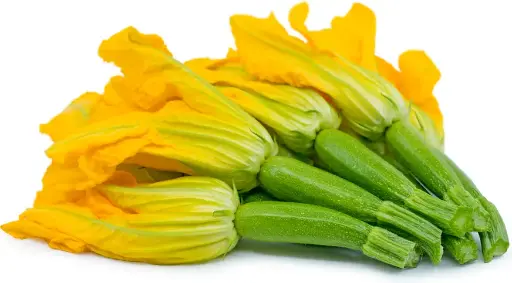 [E-COM103] Zucchini Flower -Each